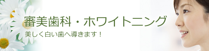 審美歯科